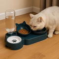 ComfortFlow 3-in-1 Pet Bowl